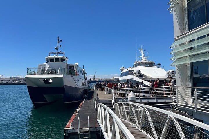 Robben Island Half Day Tour With Pre Booked Ticket from Cape Town