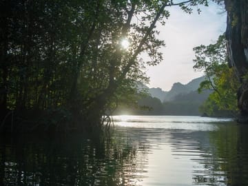 Langkawi Mangrove Night Safari with BBQ Dinner