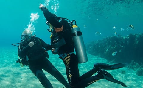 PADI Open Water Scuba Diving Course in Ras Mohamed, Sharm El Sheikh