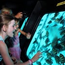Premium Panorama Semi-Submarine, Snorkeling Sea Trip - Hurghada 1
