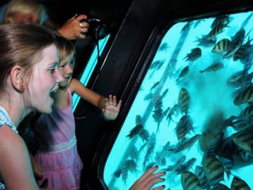 Premium Panorama Semi-Submarine, Snorkeling Sea Trip – Hurghada