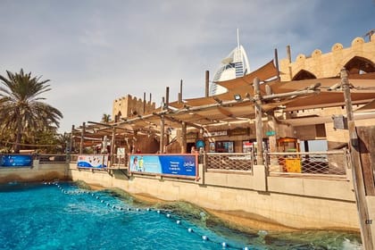 Wild Wadi Dubai water park Ticket with 1 way transfer in Dubai