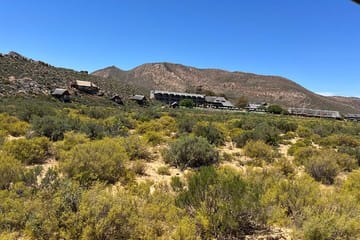 Cape Town Aquila Game Reserve Big 5 Sunset Safari with Transport