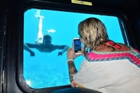 Semi Submarine 2 Hours sea trip &amp; Snorkeling &amp; Transfer–Hurghada