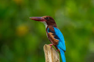 Three-Day Adventure Tour in Galle, Sri Lanka