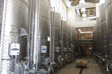 Troodos Grape Escape: Wineries and Village Tour from Ayia Napa