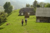 Hill Walking & Gourmet Traditional Lunch on Mountains near Bran Castle 5