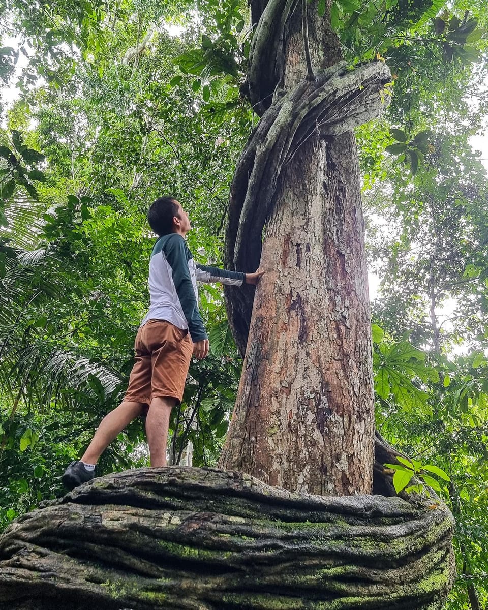 Turtle Beach Boat Tour & Mud Bath & Thermal Pool in Marmaris