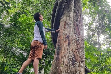 Adventure Tour to Regalias Waterfall in Pucallpa, Peru