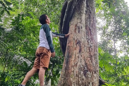 Adventure Tour to Regalias Waterfall in Pucallpa, Peru