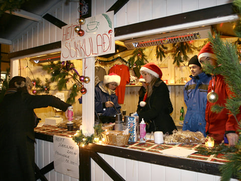 The Icelandic Christmas Advent Driving Tour, photo 14