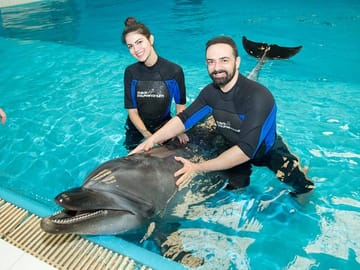 Dubai Dolphinarium Interactive Show at Creek Park
