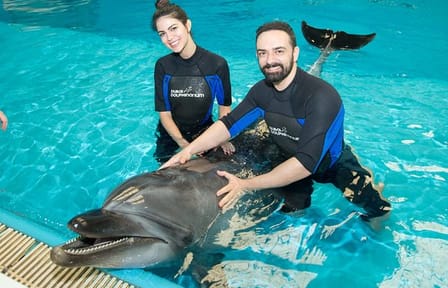 Dubai Dolphinarium Interactive Show at Creek Park