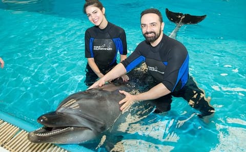 Dubai Dolphinarium Interactive Show at Creek Park