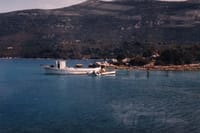 Oysters growing farms in Ston bay