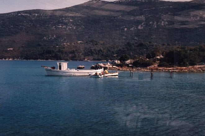 Oysters growing farms in Ston bay