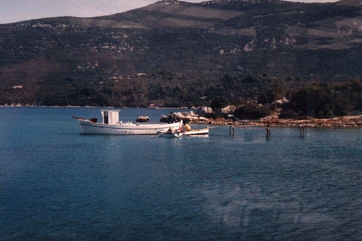 Oysters growing farms in Ston bay