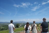 Penedes Wine Tour
