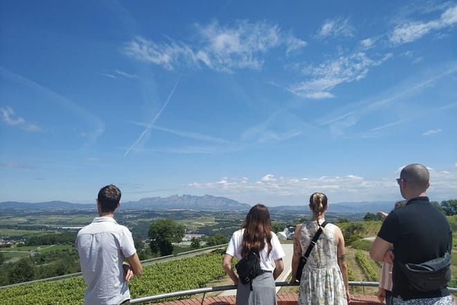 Penedes Wine Tour