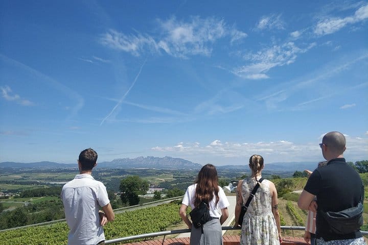 Penedes Wine Tour