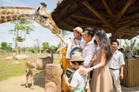 Entry Ticket: VinWonder South Hoi An 1