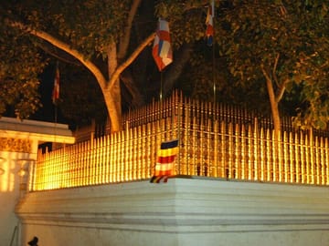 Anuradhapura-And-Aukana-All-Inclusive-Day-Tour-From-Negombo-1