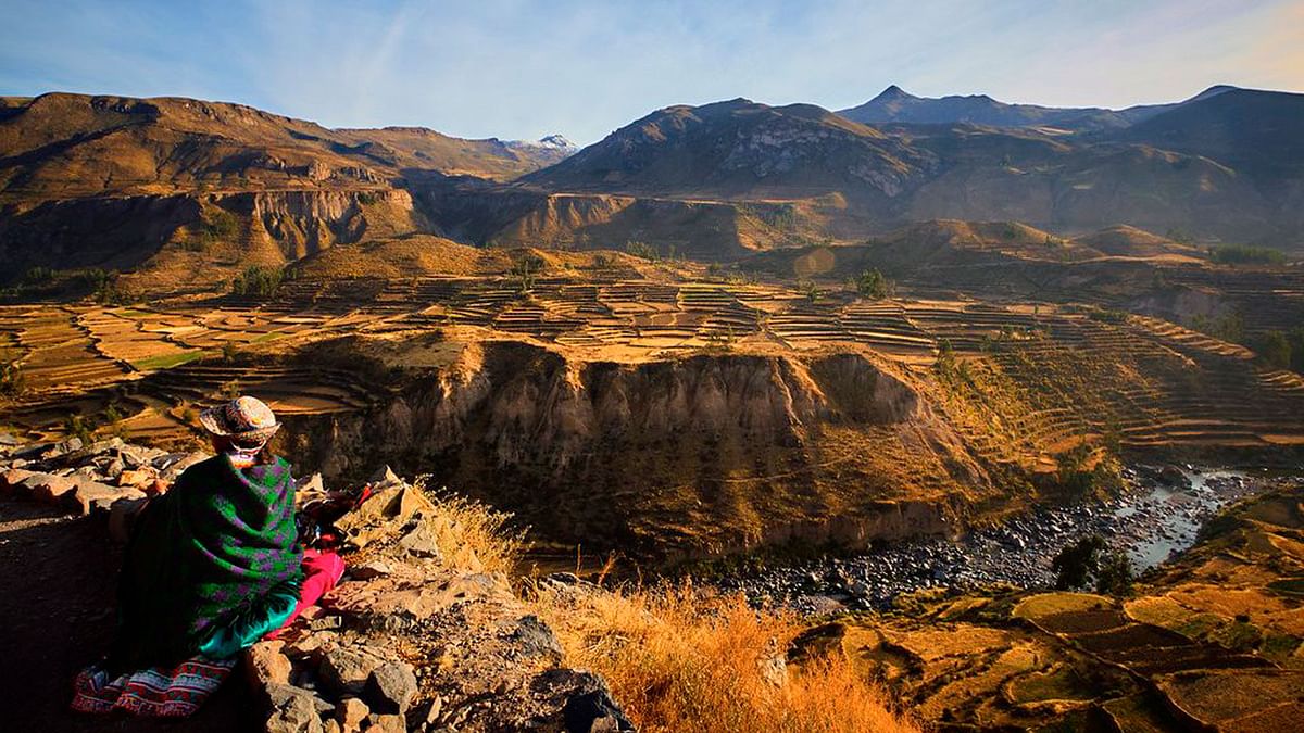 Colca Canyon Adventure: Andean Condors, Stunning Views & Cultural Exploration