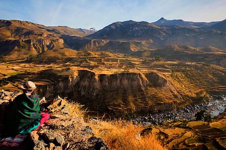 Colca Canyon Adventure: Andean Condors, Stunning Views & Cultural Exploration