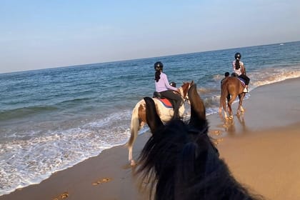 Private Horse Riding Activity in Port City