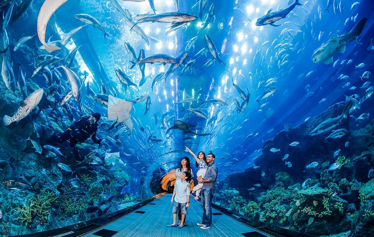 Burj Khalifa 148th floor visit, Dubai Mall shopping, Aquarium & Zoo tour & Marina Dhow Cruise with Dinner with Roundtrip Transfer