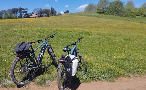 E-Bike Tour of Caffarella Valley with Cheese Tasting