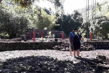 Tahiti Island Tour: Explore West and East Coasts in 5 Hours