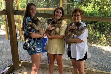 Roatan Half day zip line combo beaches monkeys and sloth hangout