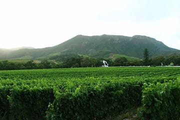 Cape Winelands Private Tour to Stellenbosch and Franschhoek