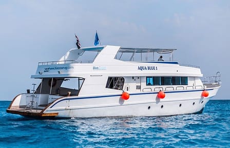 Snorkeling Tour to Orange Bay Gifton Island from Hurghada
