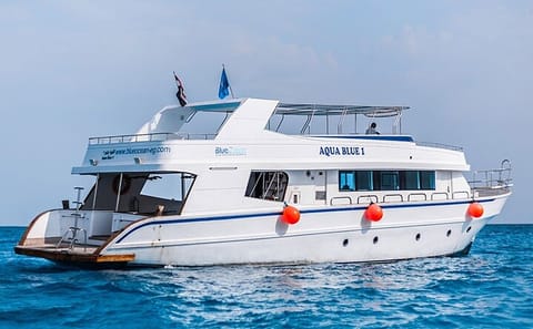 Snorkeling Tour to Orange Bay Gifton Island from Hurghada