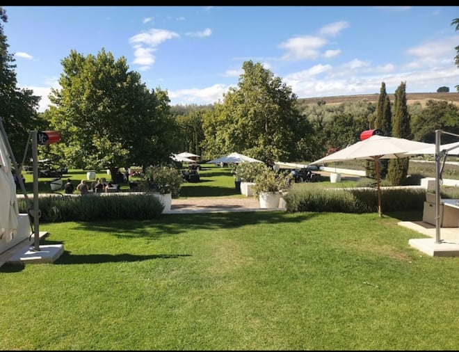 CAPE TOWN  :FULL-DAY  WINE  TASTING TOUR WITH  WINE  TRAM - Photo 16