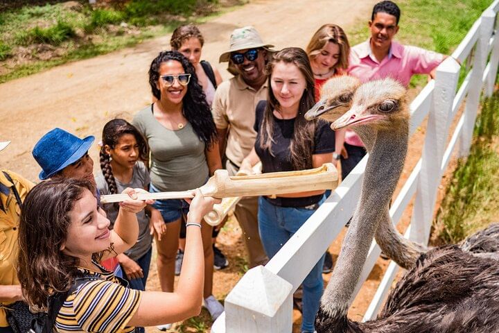 Xploration Animal Encounters Half Day Tour from Punta Cana