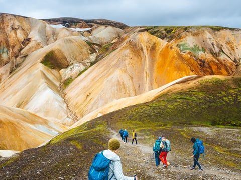 Landmannalaugar Guided Hike & Hot Springs - From Reykjavik, photo 10