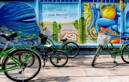 Half day Santiago City Bike Tour