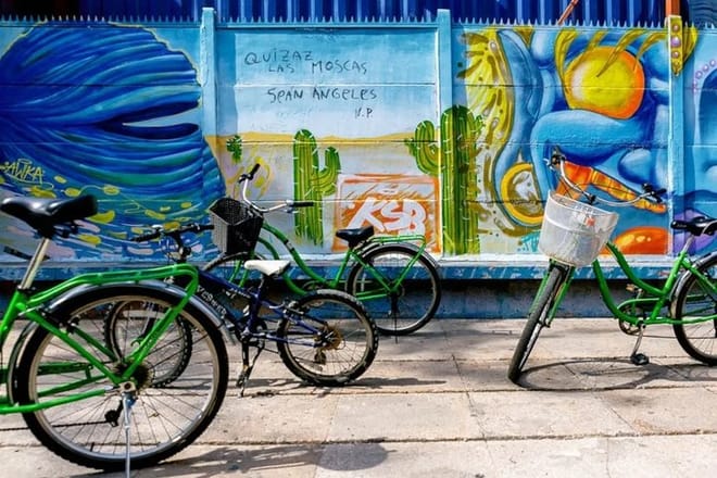 Half day Santiago City Bike Tour  2