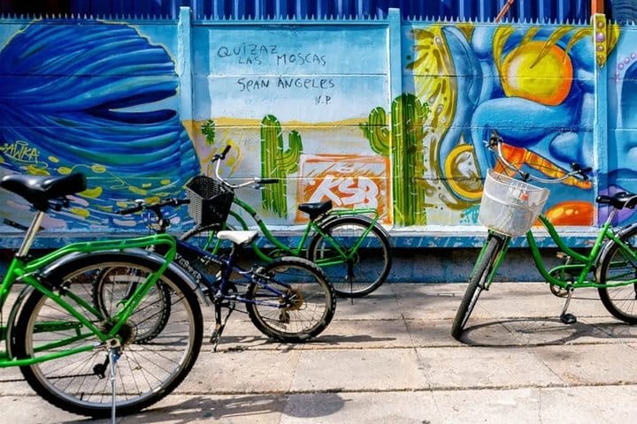 Half day Santiago City Bike Tour  2