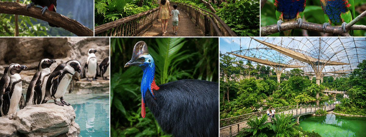 Bird Paradise Guided Tour with Lunch and Transfers product photo