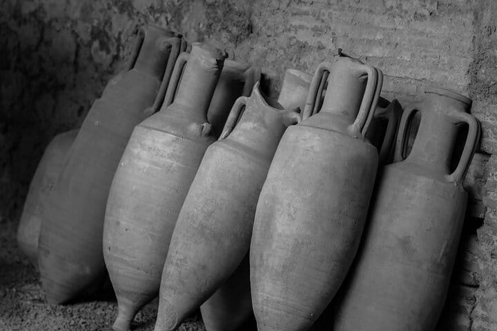 Private Half-Day Sightseeing Tour of Vesuvius National Park