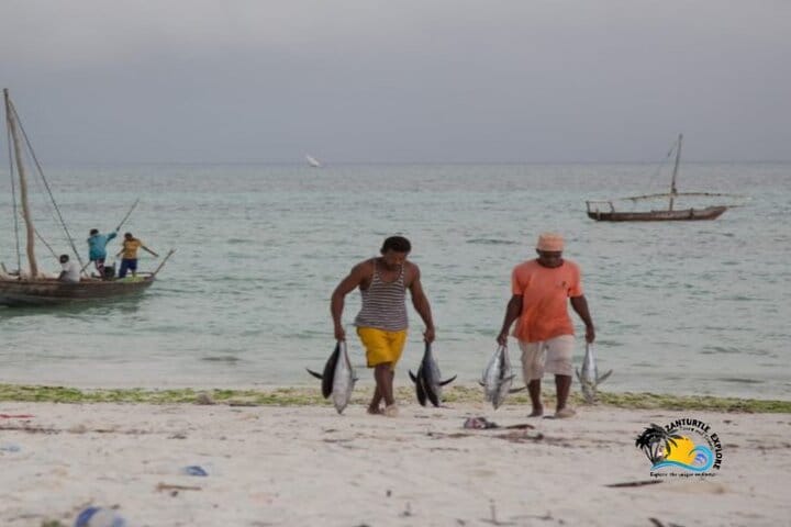 Mnemba Island Dolphins Watching and Snorkeling