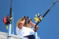 Private Deep Sea Fishing Cabo 5 Hour 30ft Boat 5 Anglers 3