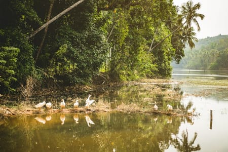 Sembuwatta Lake Adventure: Nature, Birdwatching, and Scenic Beauty