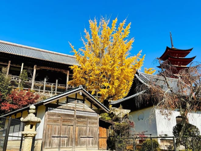 Hiroshima Station to Miyajima and Peace Park Private Tour photo 5