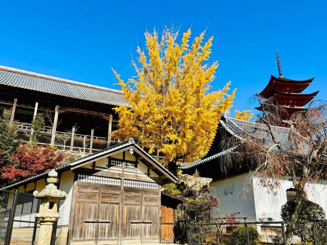 Hiroshima Station to Miyajima and Peace Park Private Tour 5