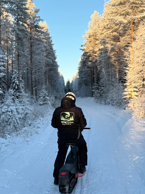 Small Group Electric Reindeer safari with Reindeer Farm visit  